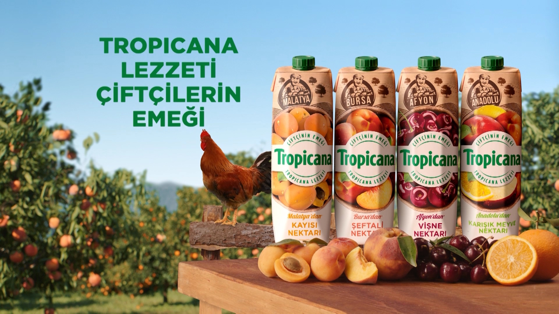 Tropicana // Tropicana lezzeti, çiftçilerin emeği