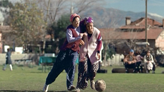 Falım