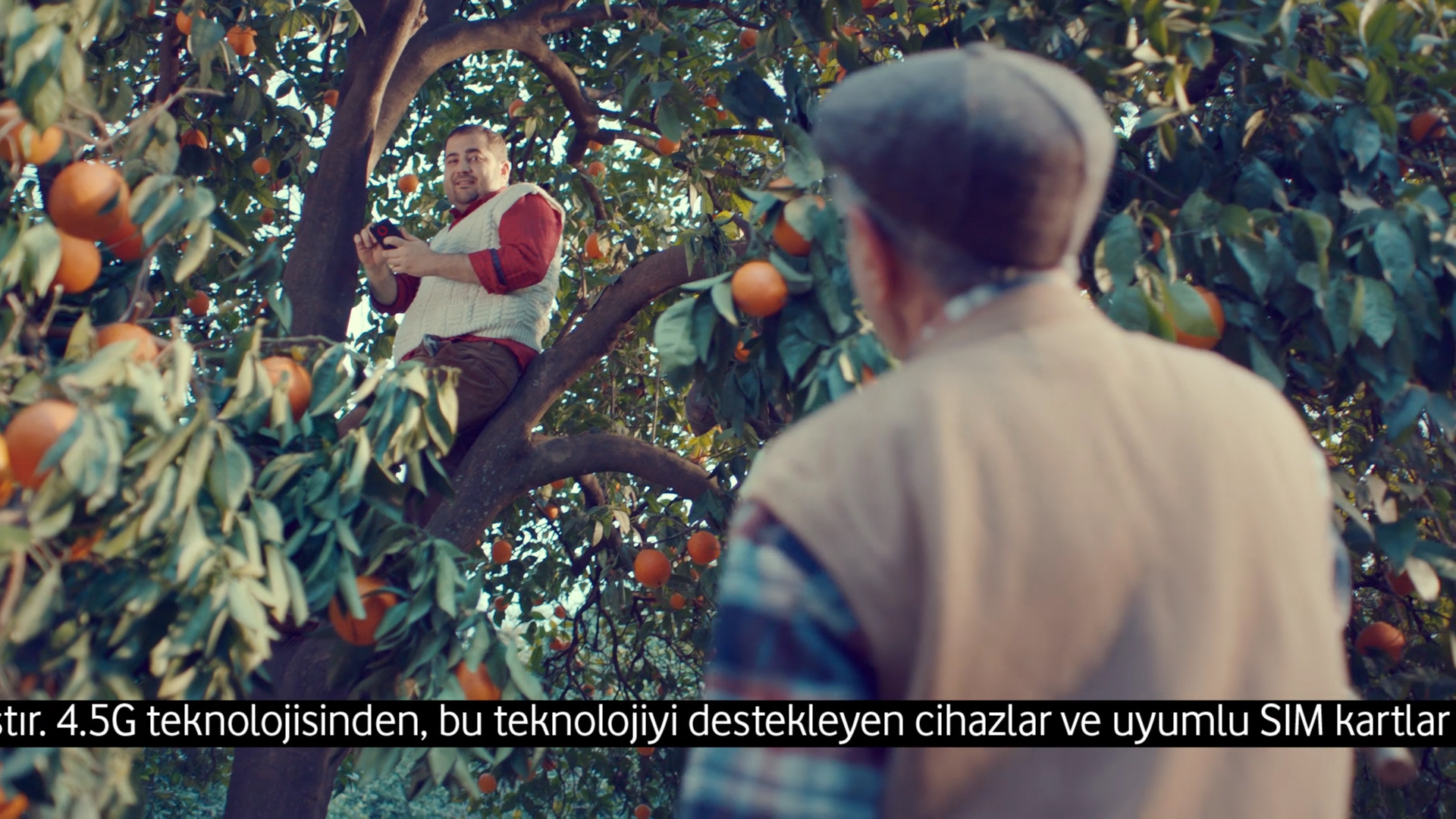 Vodafone / 4.5G Kapsama- Portakal Ağacı