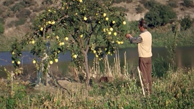 Coca Cola Hayata Artı